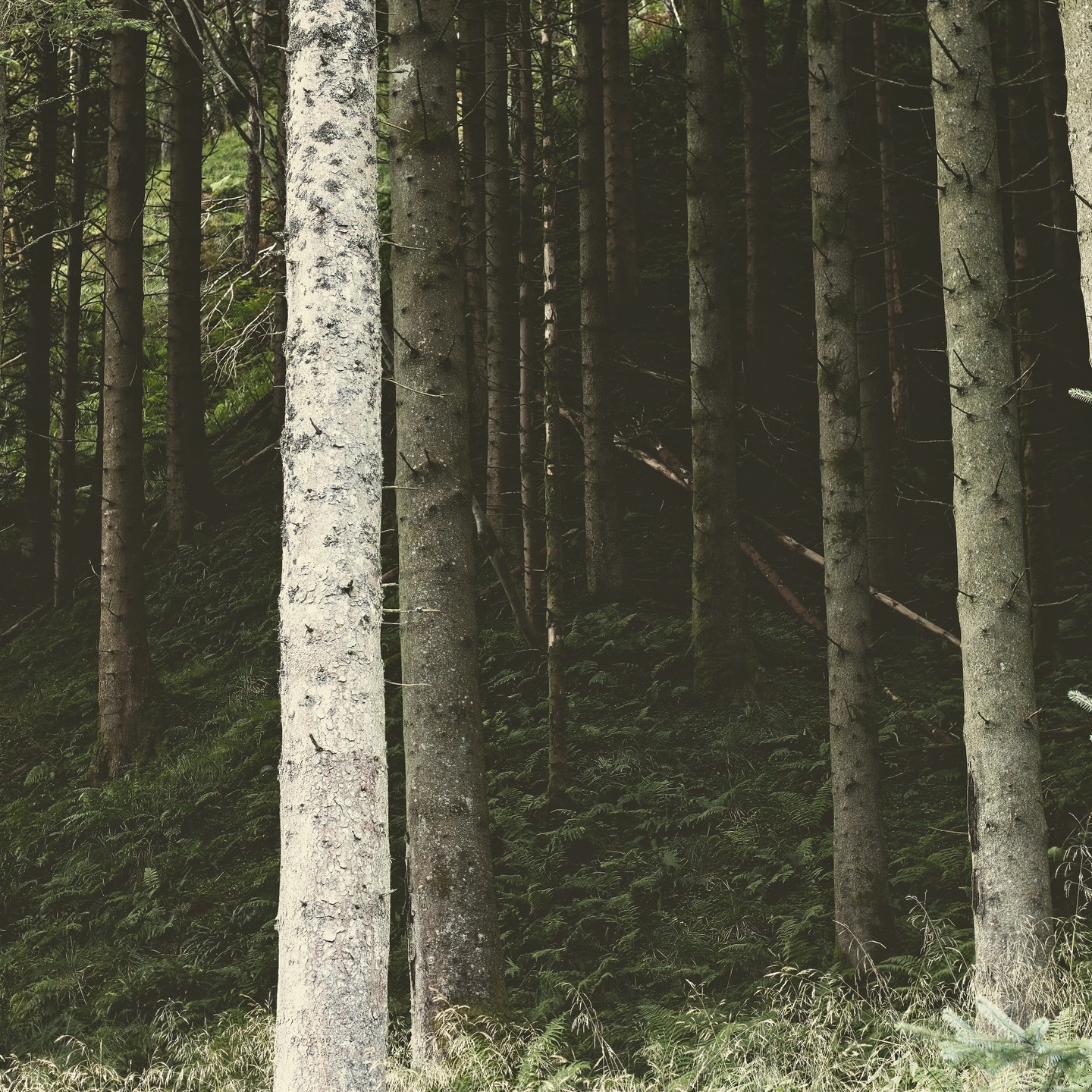 Miscellaneous photograph