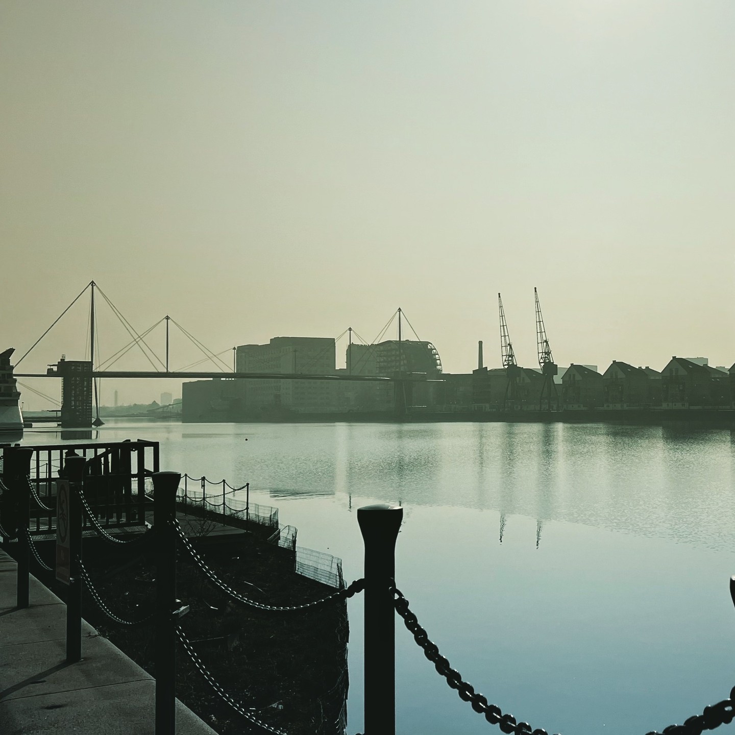 Miscellaneous photograph