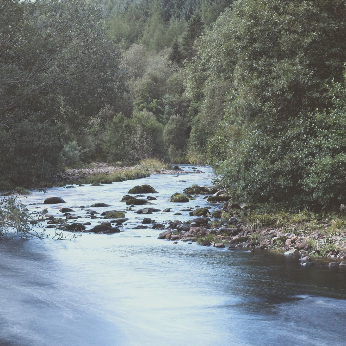 Miscellaneous photograph