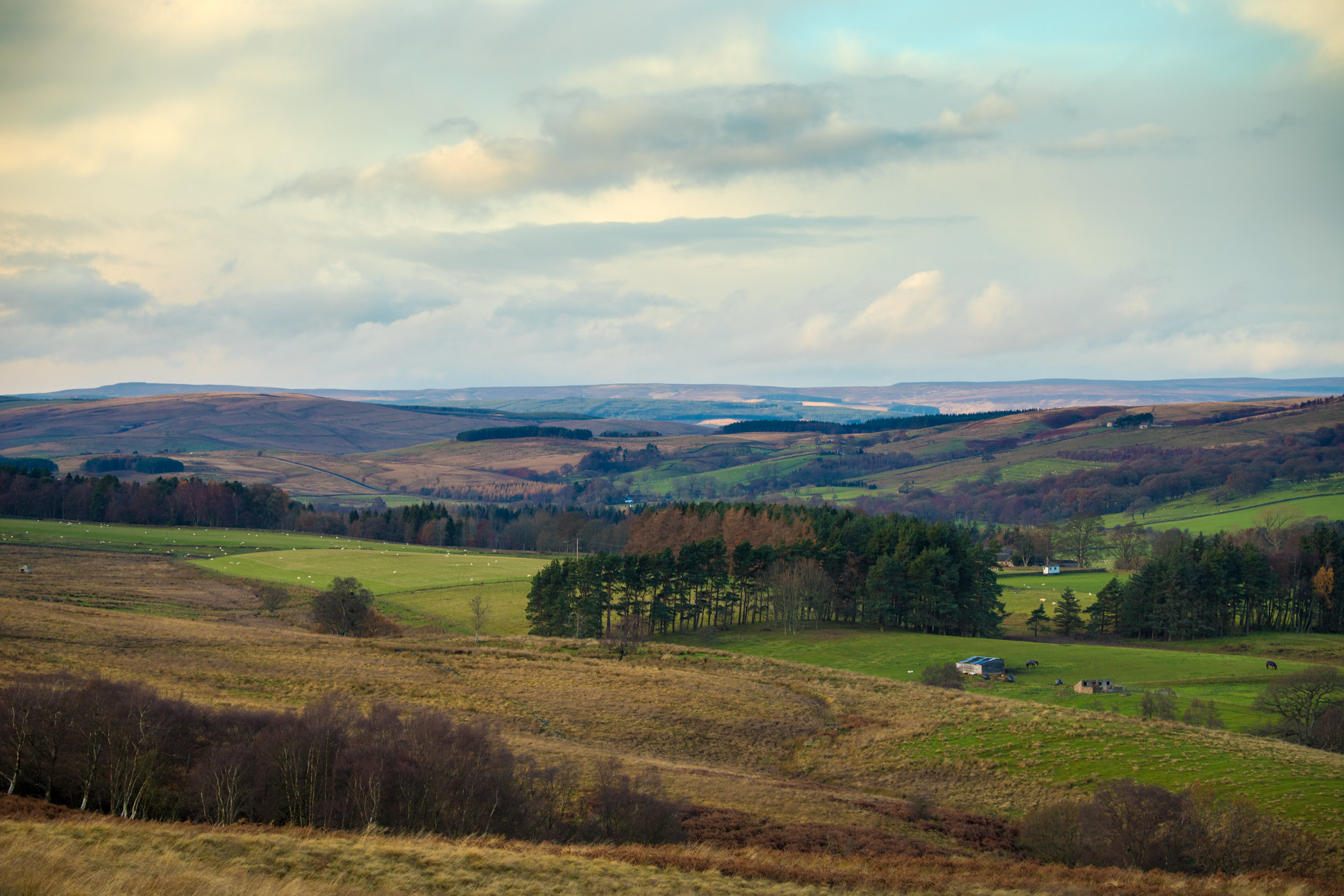Northumberland photograph